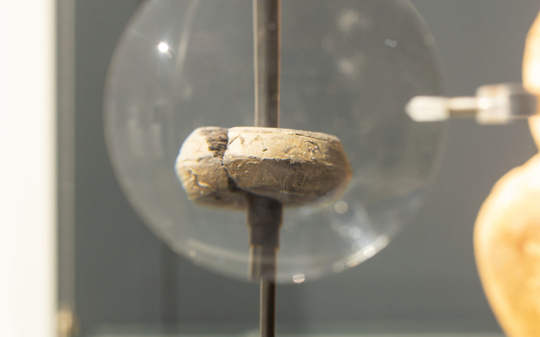 Migrations, an Archaeology of Exchanges