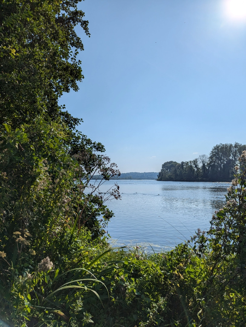 IMG20210319112424