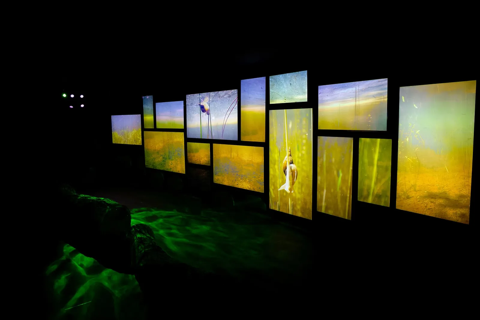 Salle d'exposition moderne avec écrans interactifs et panneaux informatifs pour un centre d'interprétation.